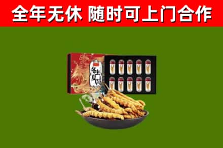 苏州回收冬虫夏草价格